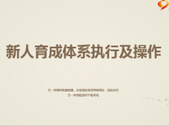 新人育成體系執(zhí)行及操作手冊指引43頁.ppt