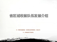 区域收展队伍发展介绍省公司68页.ppt