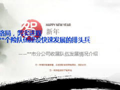 收展队伍发展情况介绍分享市分公司50页.ppt