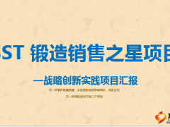 银保锻造销售之星SST项目意义内容推动17页.ppt