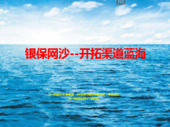 开拓渠道蓝海银保网沙37页.ppt