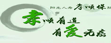 阳光保险顺保利益演示简易自动计划书.xls