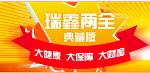 中国人寿瑞鑫典藏自动计划书可调节意外保障.xls
