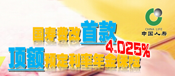 中国人寿鑫如意年金保险白金版.xls
