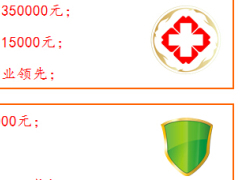 中国人寿瑞鑫典藏版自动计划书可调节意外保障.xls
