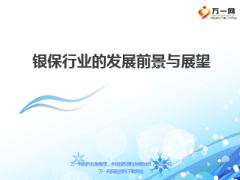 银保行业的发展前景与展望30页.ppt