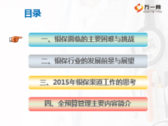 银保面临的主要困难与挑战11页.ppt