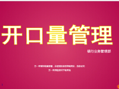 开口量管理银行保险部18页.ppt