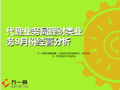 银保代理业务局理财类业务月度经营分析27页.ppt