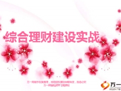 银行保险综合理财队伍建设25页.ppt