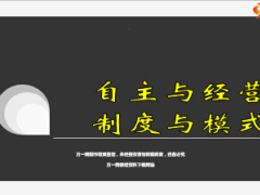 银保理财中心汇报自主与经营制度与模式11页.ppt