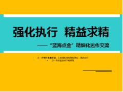 蓝海点金精细化运作交流银行保险36页.ppt