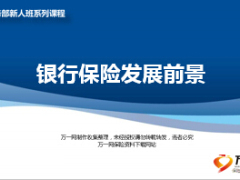 银行保险发展前景28页.ppt