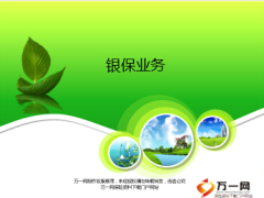银保STP战略分析市场细分目标定位消费者分析14页.ppt