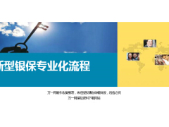 新型银保专业化流程26页.ppt