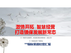 银保渠道经营思路及措施支公司29页.ppt