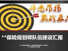 银行保险保险规划师队伍建设汇报17页.ppt