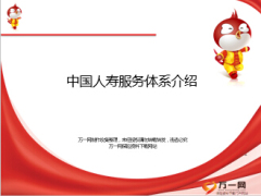 中国人寿两类保险服务群体服务体系介绍22页.ppt