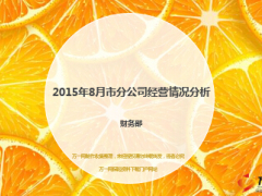 2015年分公司财务部月度预算执行情况分析27页.ppt