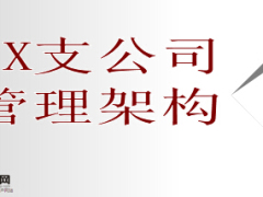 保险公司支公司管理架构人员组织机构图8页.ppt