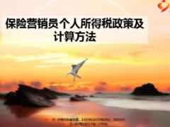 个人所得税政策及计算方法保险营销员8页.ppt