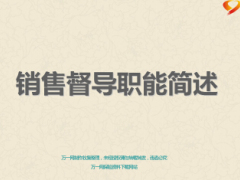 销售督导职能简述24页.ppt