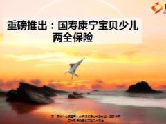 中国人寿康宁宝贝少儿两全保险产品介绍11页.ppt