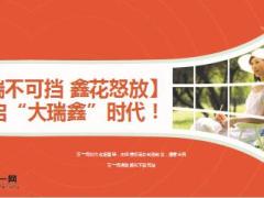 中国人寿2015版典藏版瑞鑫产品介绍9页.ppt