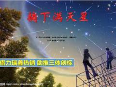 国寿借力大瑞鑫热销助推三体创标44页.ppt