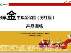 国寿颐享金生年金保险产品介绍目标市场话术26页.ppt