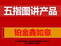 中国人寿铂金鑫如意五指图讲产品9页.ppt