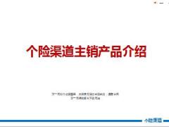 中国人寿个险渠道主销产品概述销售逻辑52页.ppt