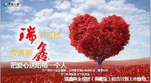 中国人寿瑞鑫两全保险典藏版产品宣导88页.ppt
