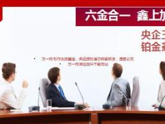 中国人寿鑫如意年金保险介绍亮点目标市场58页.ppt