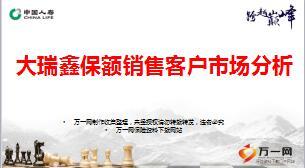 国寿大瑞鑫两全保险保额销售客户市场分析18页.ppt