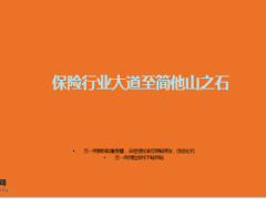 大道至简他山之石保险行业52页.ppt