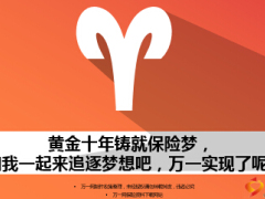 黃金十年鑄就保險(xiǎn)夢(mèng)11頁.ppt