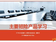 中国人寿主要短险产品学习及条款29页.ppt