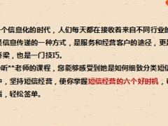 保险业分享短信经营交响曲32页.ppt