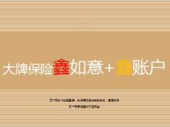 国寿大牌保险鑫如意年金保险加鑫账户30页.ppt