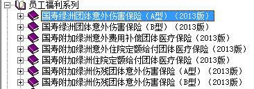 中国人寿团险短期险产品库介绍2014版.rar
