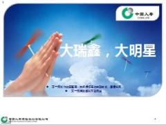 中国人寿销售大瑞鑫两全保险回顾典范分享19页.ppt