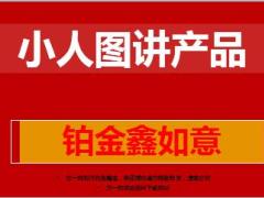 中国人寿铂金鑫如意小人图讲产品11页.ppt