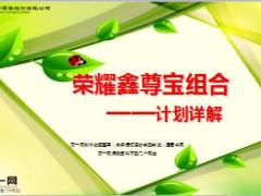 中国人寿荣耀鑫尊宝计划详解产品条款38页.ppt