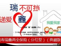 中国人寿瑞鑫两全保险典藏版产品亮点及观念26页.ppt