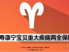 国寿康宁宝贝重大疾病两全保险介绍13页.ppt