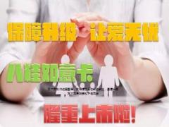 中国人寿八桂如意卡介绍宣导13页.ppt