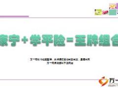 中国人寿王牌组合康宁学平险介绍35页.ppt