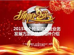 2015年中国人寿个险短险方案及热销险种介绍47页.ppt