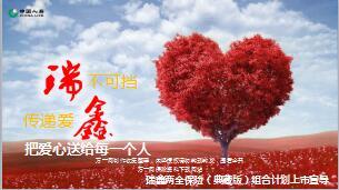 国寿瑞鑫两全保险产品管理层宣导版80页.ppt